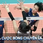 Cá cược bóng chuyền hiểu là gì?